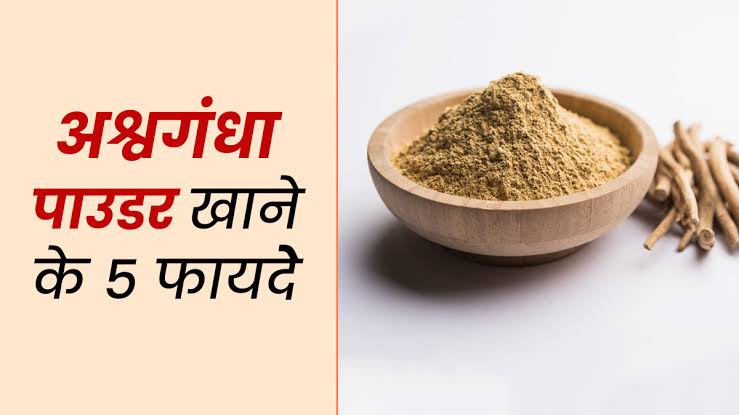 Read more about the article Aswagandha की ताकत जान विदेशी लोगों हैरान बोले अब स्टेरॉइड की क्या जरूरत ?